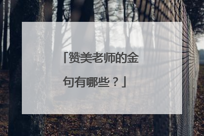 赞美老师的金句有哪些？