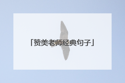 赞美老师经典句子