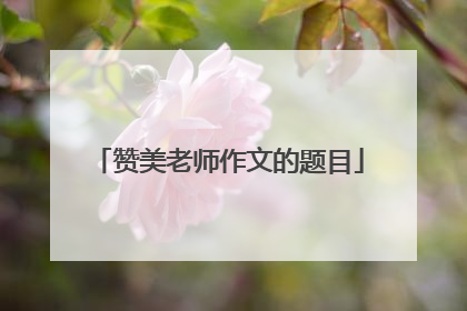 赞美老师作文的题目