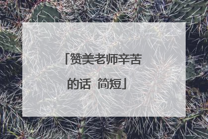 赞美老师辛苦的话 简短