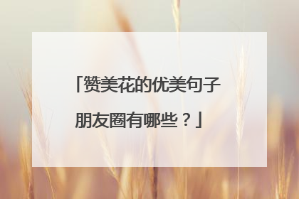 赞美花的优美句子朋友圈有哪些？
