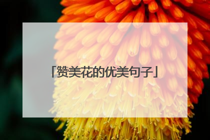 赞美花的优美句子