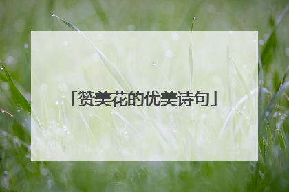 赞美花的优美诗句