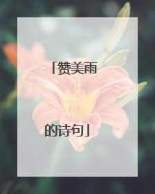 赞美雨的诗句
