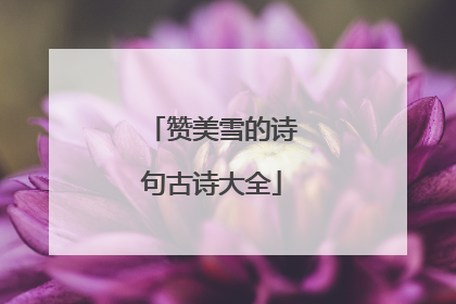 赞美雪的诗句古诗大全