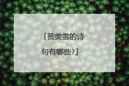 赞美雪的诗句有哪些?