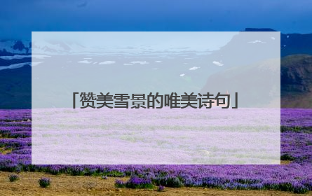 赞美雪景的唯美诗句