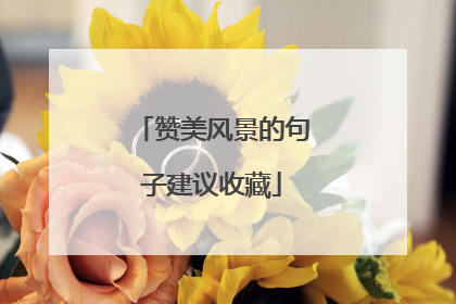 赞美风景的句子建议收藏