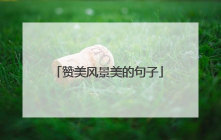 赞美风景美的句子