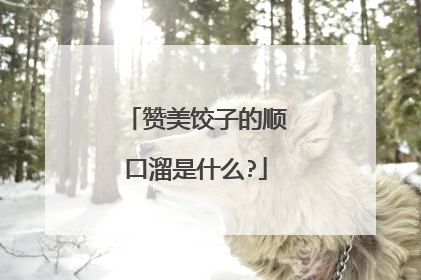 赞美饺子的顺口溜是什么?