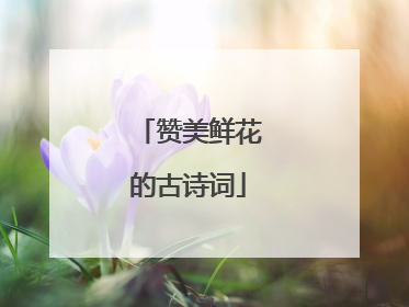 赞美鲜花的古诗词