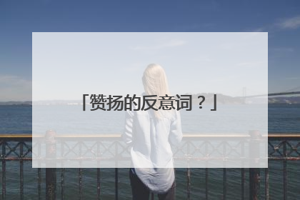 赞扬的反意词？