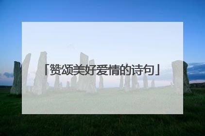 赞颂美好爱情的诗句