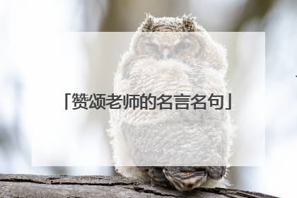 赞颂老师的名言名句