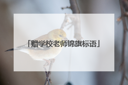 赠学校老师锦旗标语