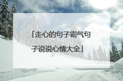 走心的句子霸气句子说说心情大全