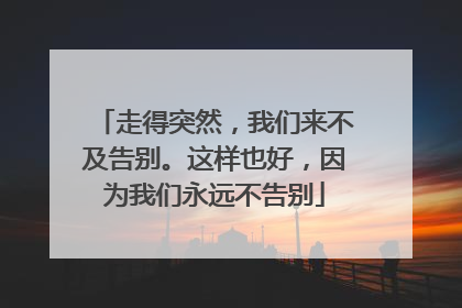 走得突然,我们来不及告别。这样也好,因为我们永远不告别