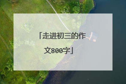 走进初三的作文800字