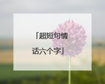 超短句情话六个字