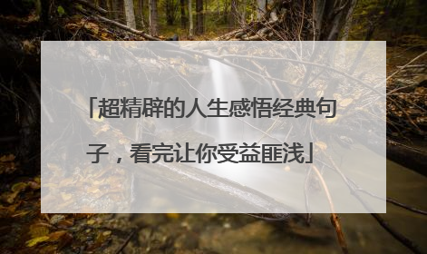 超精辟的人生感悟经典句子，看完让你受益匪浅