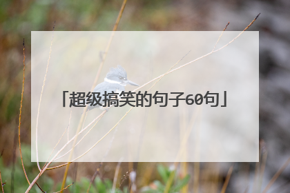 超级搞笑的句子60句