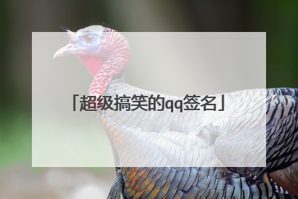 超级搞笑的qq签名