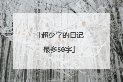 超少字的日记 最多50字