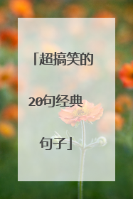 超搞笑的20句经典句子