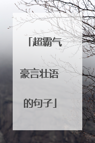 超霸气豪言壮语的句子