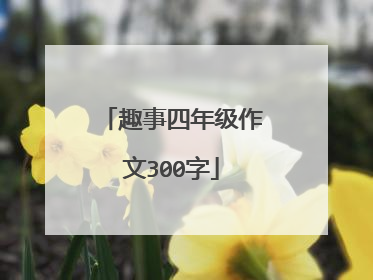 趣事四年级作文300字