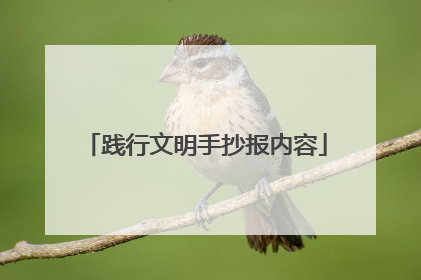 践行文明手抄报内容