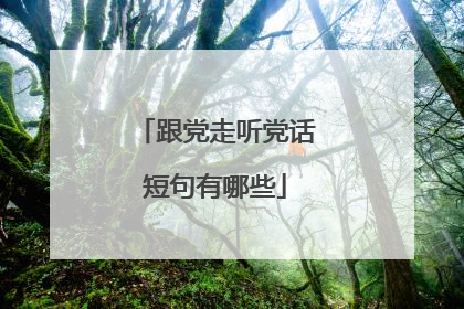 跟党走听党话短句有哪些