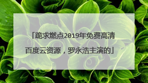 跪求燃点2019年免费高清百度云资源，罗永浩主演的