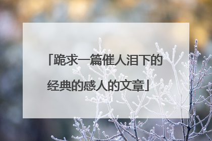 跪求一篇催人泪下的经典的感人的文章