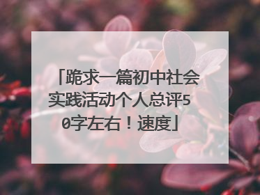 跪求一篇初中社会实践活动个人总评50字左右!速度