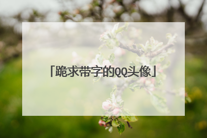 跪求带字的QQ头像