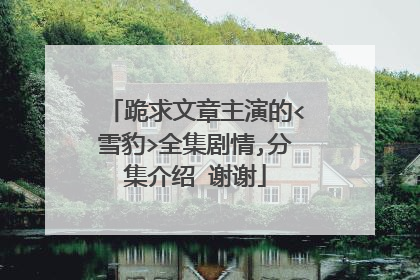 跪求文章主演的<雪豹>全集剧情,分集介绍 谢谢