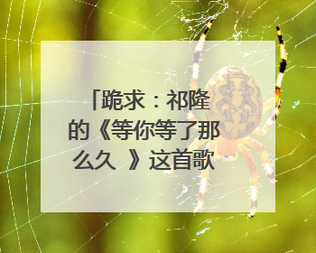 跪求：祁隆 的《等你等了那么久 》这首歌曲的吉他谱