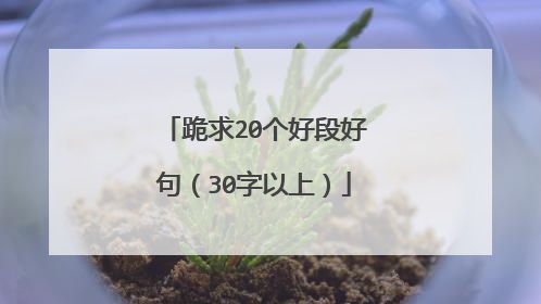 跪求20个好段好句(30字以上)