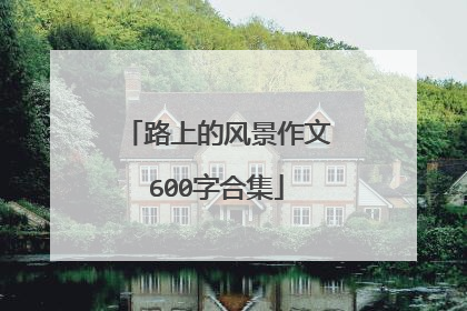 路上的风景作文600字合集