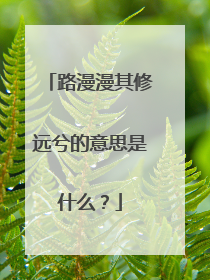 路漫漫其修远兮的意思是什么？