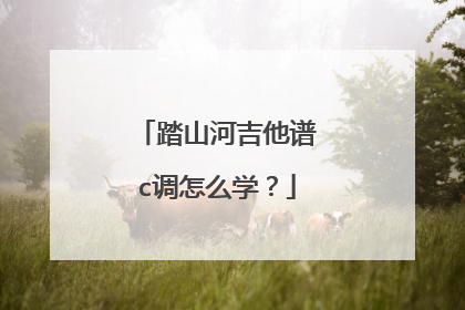 踏山河吉他谱c调怎么学？