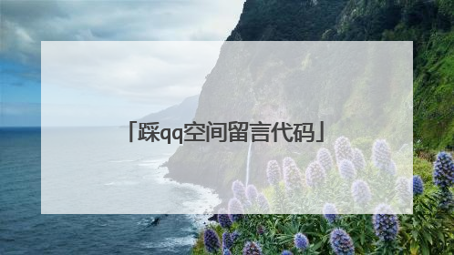 踩qq空间留言代码