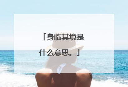 身临其境是什么意思。