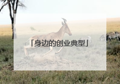 身边的创业典型