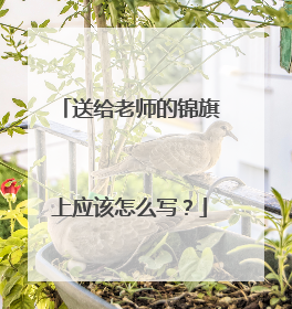 送给老师的锦旗上应该怎么写？