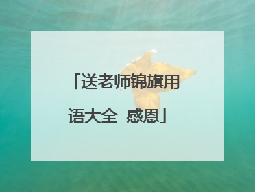 送老师锦旗用语大全 感恩