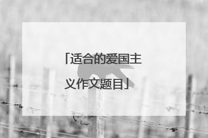 适合的爱国主义作文题目