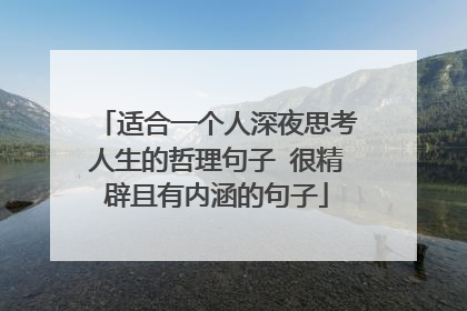 适合一个人深夜思考人生的哲理句子 很精辟且有内涵的句子