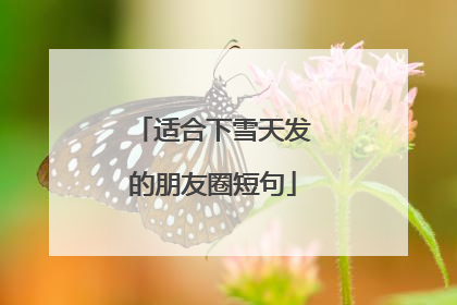 适合下雪天发的朋友圈短句